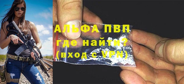 стаф Надым