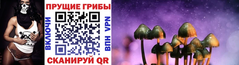 Псилоцибиновые грибы Psilocybine cubensis  Купить закладки  Трёхгорный 